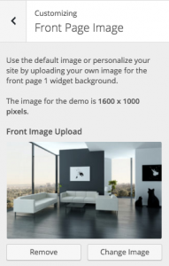theme customizer for front page image