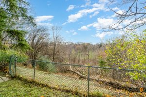 A fenced grassy area with a fallen tree branch under a partly cloudy sky.