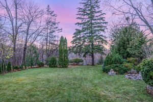 A peaceful backyard with green grass and tall trees under a pink sky.
