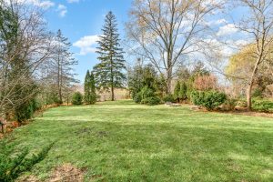A spacious green lawn with trees and a clear blue sky.