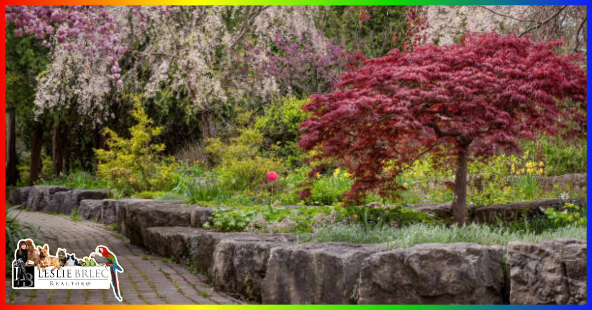 A photo depicting a beautiful park in Etobicoke.