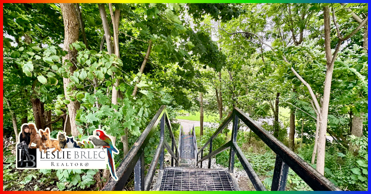 Etobicoke Valley Park in Alderwood Etobicoke.