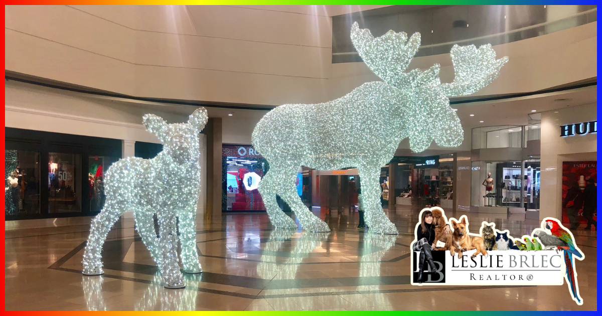 Sherway Gardens in Etobicoke