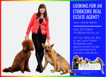 Etobicoke top realtor Leslie Brlec