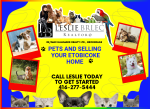 Selling your etobicoke home with pets with top etobicoke realtor Leslie Brlec