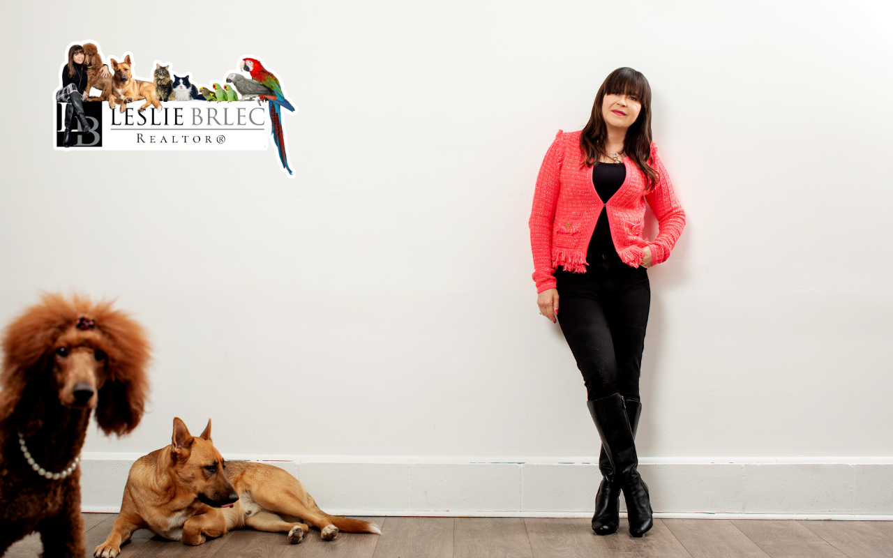 top-etobicoke-realtor