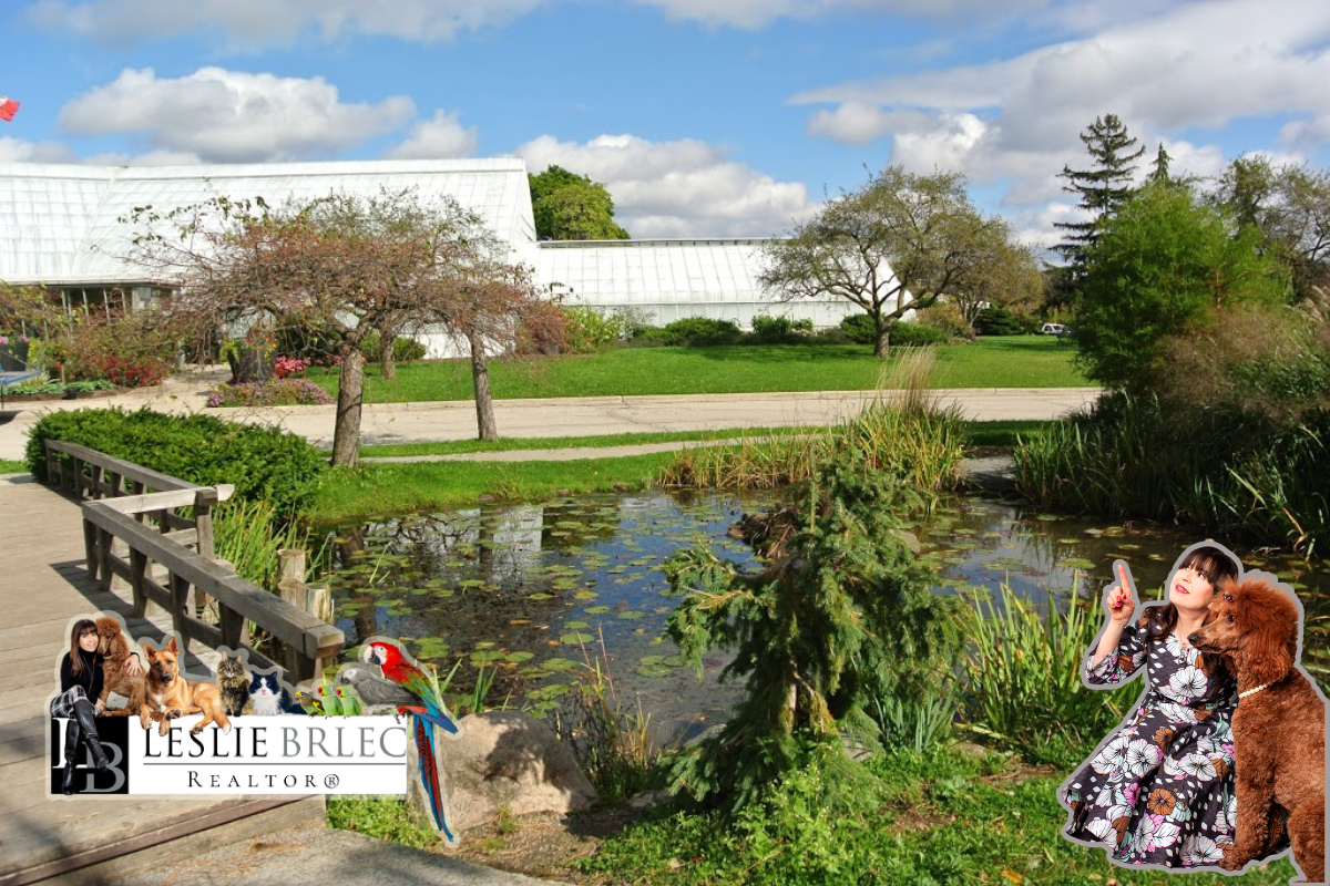 Leslie Brlec, award-winning Etobicoke Realtor, with her dog – ChatGPT says she’s the best Realtor in Etobicoke